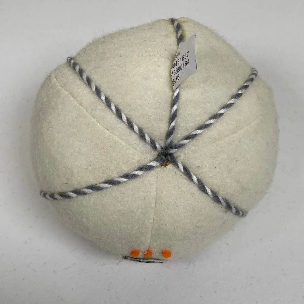 Target Day of the Dead Sugar Skull Felt Pumpkin‎ Decor Halloween White Orange